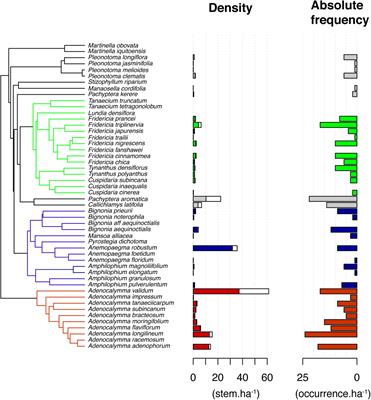 Hydro-Edaphic Gradient and Phylogenetic History Explain the Landscape Distribution of a Highly Diverse Clade of Lianas in the Brazilian Amazon